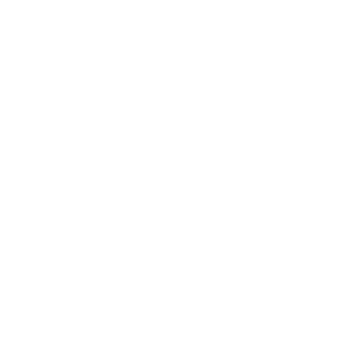 Logo de l'entreprise IPSO FACTO